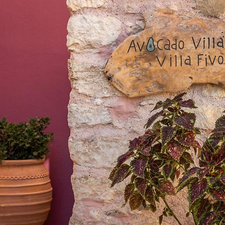 Avocado Villas Ханя Екстериор снимка
